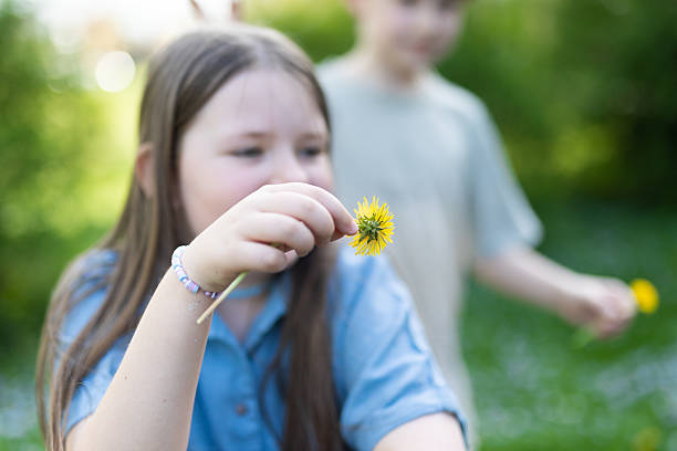 istock Young girl with dandelions 2211477587