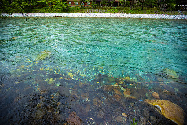 Fresh greenery in Kamikochi, Nagano Prefecture