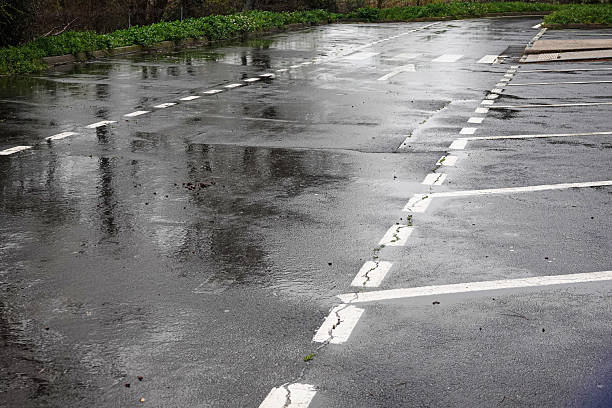 istock A quiet empty parking area features water collected on the asphalt surface, reflecting nearby trees and moody, overcast skies following rain. 2211479645