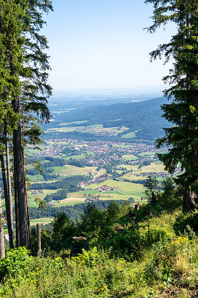A beautiful summer's day in the German countryside near the Alps