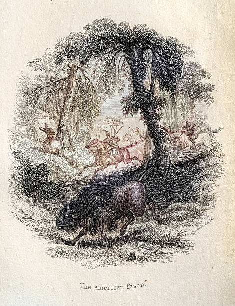 Native Americans hunting American bison, buffalo, hunters on horseback, 19th Century