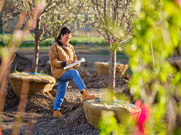 istock Woman Worker in a Small Tree Farm 2211485713