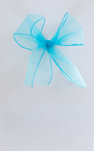 istock An Elegant Aqua Blue Organza Bow on a Soft Light Background Creating a Charming Atmosphere 2211488842