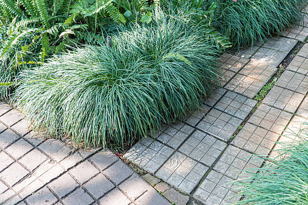 istock Image of a cobblestone path leading to lush greenery, with a focus on foreground foliage and brickwork, evoking themes of nature, tranquility, or luxury associated with traditional craftsmanship 2211490694