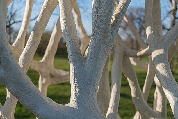 istock A white, organic tree sculpture showcasing branches against a blurred backdrop, often used in marketing for themes like growth, resilience, nature design, or environmental consciousness 2211492551