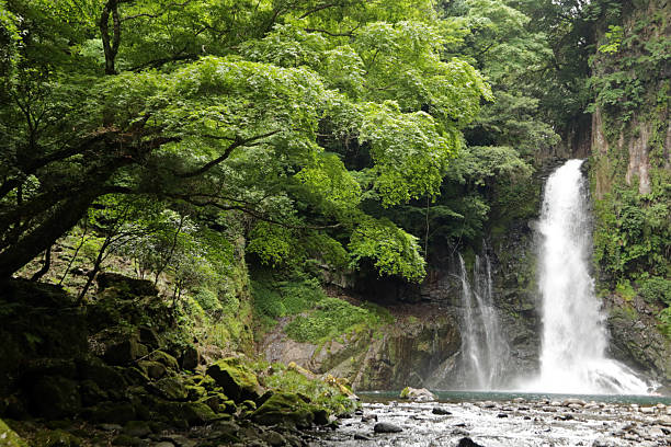 istock Kawazu Seven Falls, Izu Peninsula, Japan 2211495372
