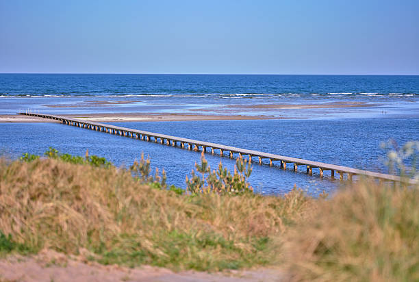 Situated along Denmarkâs pristine coastline, this image captures an endless wooden pathway reaching over shimmering waters toward the sea on a tranquil day. An ode to nature's beauty and calm.