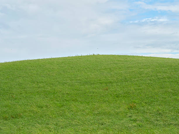 istock Rolling green grassy hill under a partly cloudy sky during the summer season 2211496333