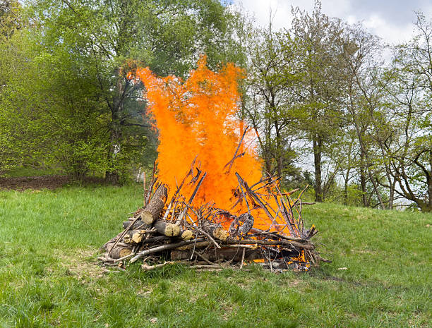 Bright bonfire on green meadow amidst lush trees and blue sky, celebration