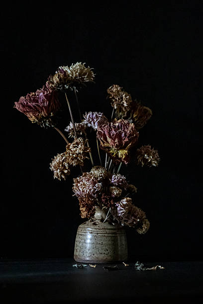 istock A vase of dried flowers 2211500774