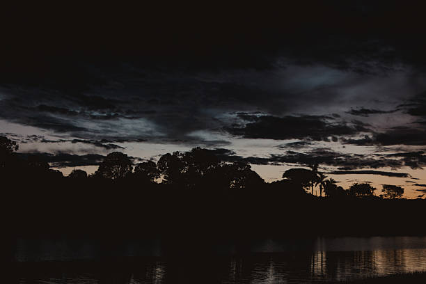 Silhouette of Trees at Dusk by a River