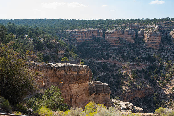 istock Grand Canyon National Park 2211506268