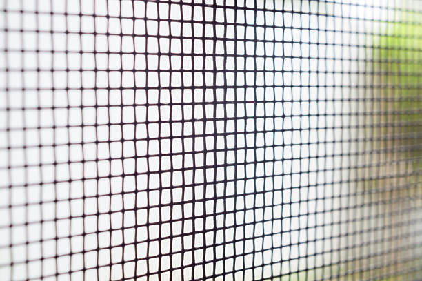istock mosquito net wire screen on house window protection against insect 2211507211