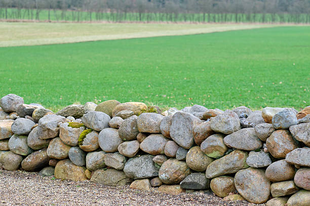 A rustic stone wall bordering a vast green field under a soft sky. Ideal for showcasing nature's simplicity and rural tranquility.