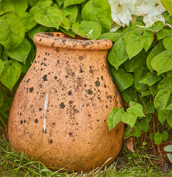 A charming terracotta pot placed amidst lush green leaves and grass, evoking a rustic natural ambiance for gardening enthusiasts and outdoor decoration inspiration in garden settings.
