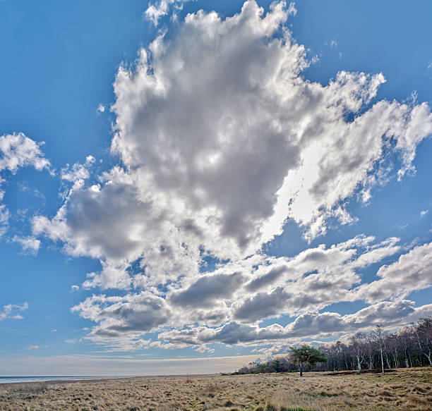 The clear blue sky and puffy clouds create a sense of peace and tranquility, perfect for any project