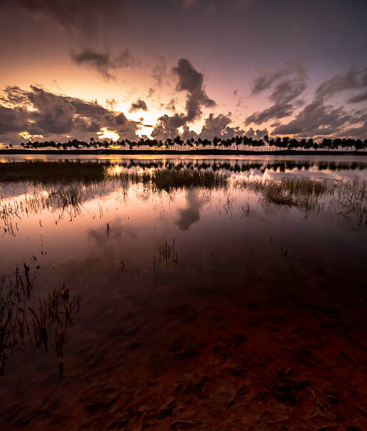 Cedar Key sunset, Florida, USA