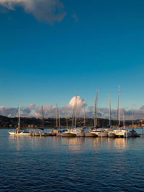 Sailboats docked in a calm harbor under a blue sky.