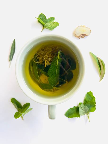 Vertical high angle photo of a hot cup of tea made with organic ginger, wild foraged Usnea lichen and herbs harvested from an organic permaculture home garden. Uralla, New England high country, N.S.W.
