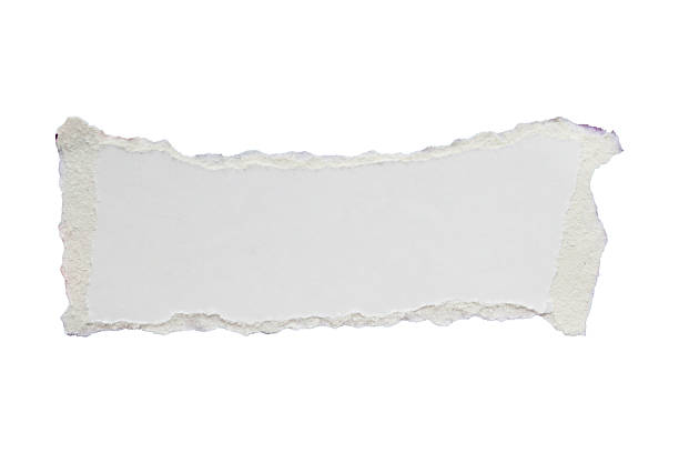 istock White ripped paper torn edges strips isolated on white background 2211517021