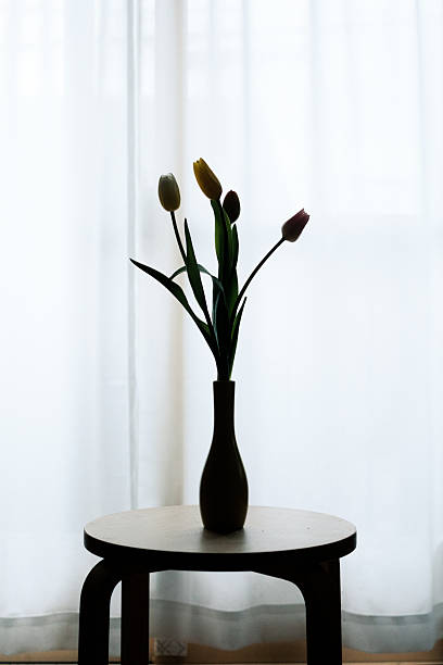 istock Tulips in a vase 2211520481