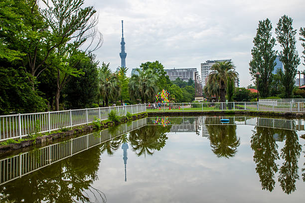 Tokyo Sarue Park - Water lilies