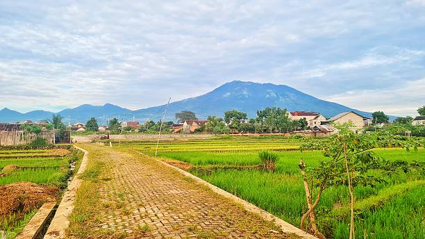 istock Village road with lawu mountain 2211526402