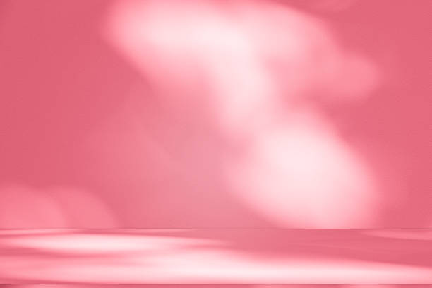 istock Wall interior background, studio, and backdrops show products. with shadow from window color white and pink light. background for text insertion and presentation of product 2211532485