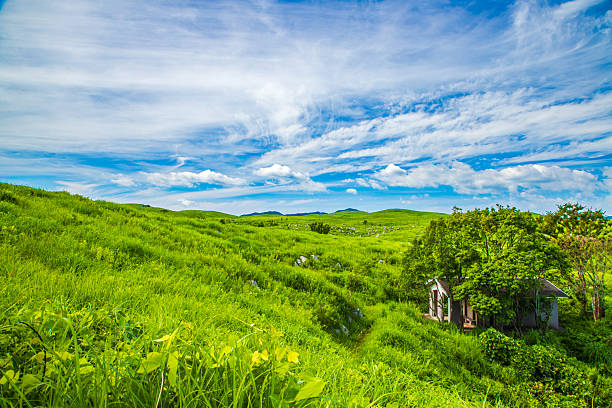 Akiyoshidai: A karst plateau on a clear day