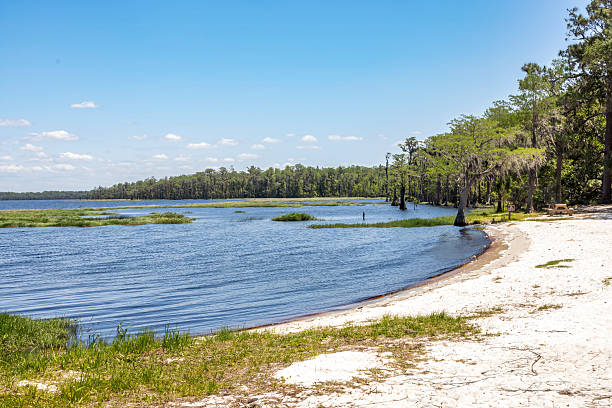 istock Lake Louisa State Park, Florida 13 2211535833