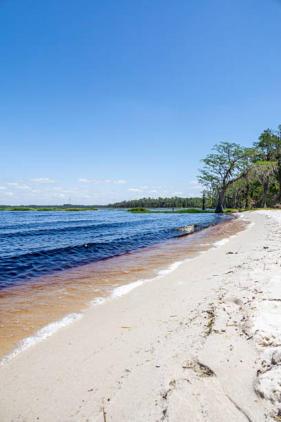 istock Lake Louisa State Park, Florida 19 2211535842