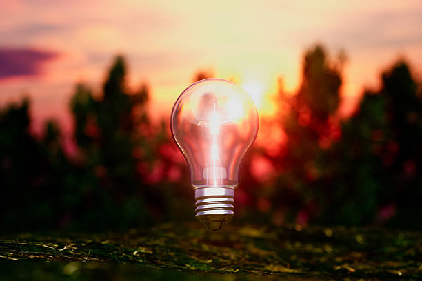 A light bulb is lit up in the woods at sunset. The light bulb is glowing brightly, illuminating the surrounding area. The scene is serene and peaceful