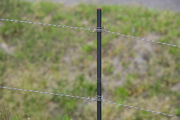 A detailed close-up shot of a weathered wooden fence post wrapped with tightly secured metal wire in a lush green grassy meadow in Denmark during the warmth of summer, evoking simplicity and rural life.