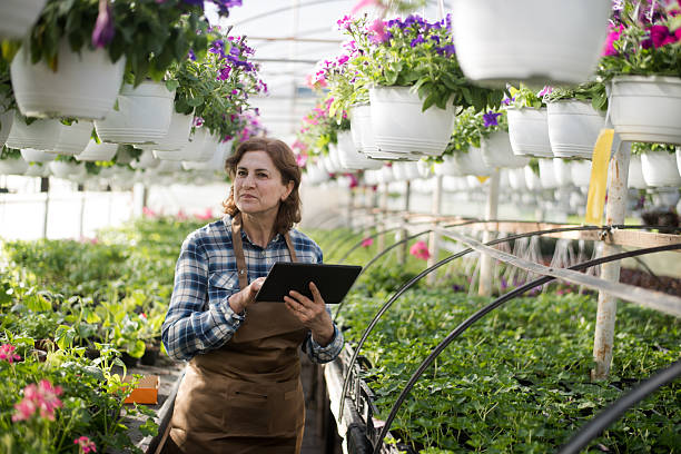 istock Senior florist holding digital tablet and checking the flowers 2211542323
