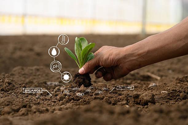 istock Modern agriculture and plant health tracking 2211543908