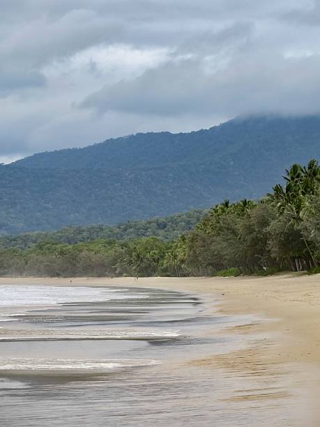 istock Serene Beach in Far North Queensland 2211549698