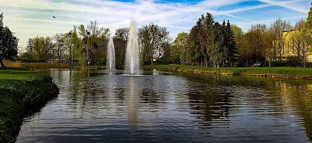 istock Wild Birds on a Lake Nature Harmony 2211551045