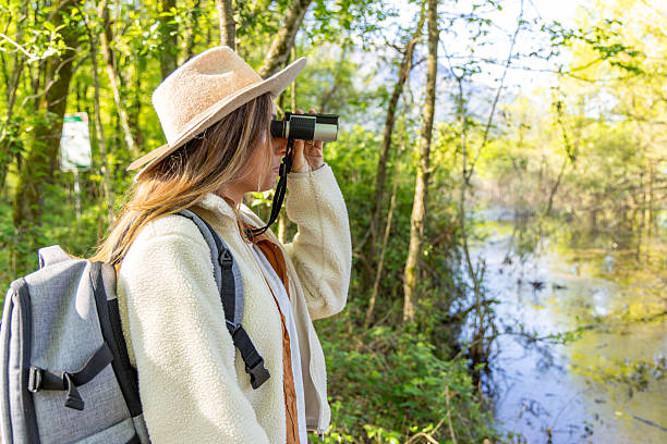 istock Female Birdwatcher Observing Wildlife in Forest 2211551808