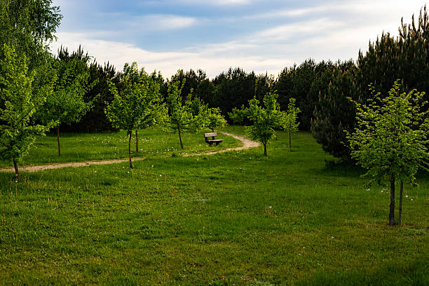 This refreshing spring landscape captures nature's renewal with: Lush green meadows dotted with wildflowers Delicate tree blossoms in soft pink and white