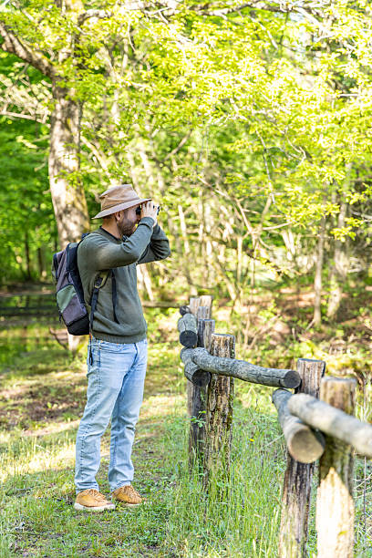 istock Man Observing Nature with Binoculars in Forest 2211553063