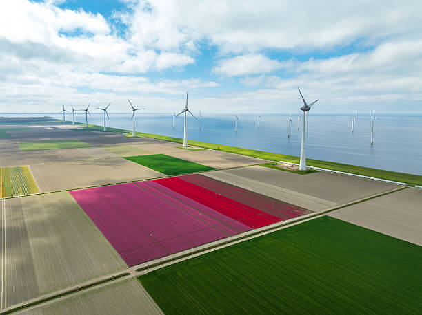 istock wind turbines along a lake 2211556959