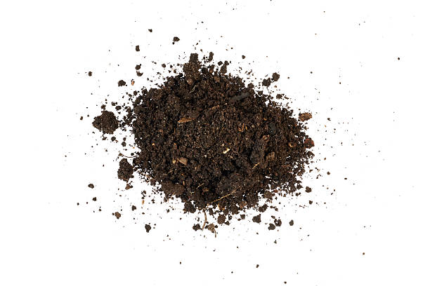 istock pile of soil humus earth ground isolated on white 2211557621