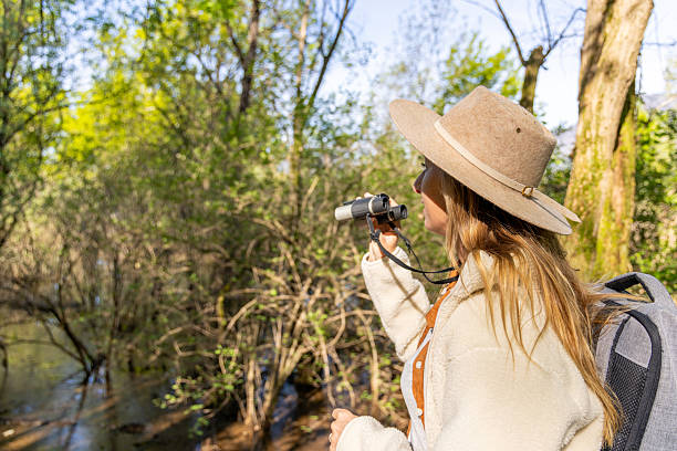 istock Woman Birdwatching in Forest with Binoculars 2211558685