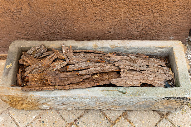 Old wooden logs are neatly arranged in a long, weathered stone planter, casting gentle shadows against a textured brown wall under a warm sunlit sky.