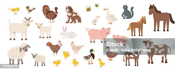Animal Behavior Graphics Animals Set2 Stock Illustration - Download Image Now - Agriculture ...
