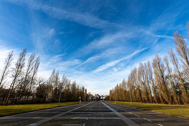 Grass field, trees and interesting sky in park in winter