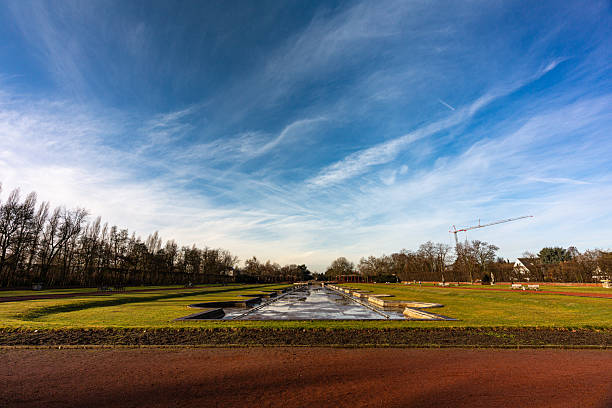 Grass field, trees and interesting sky in park in winter