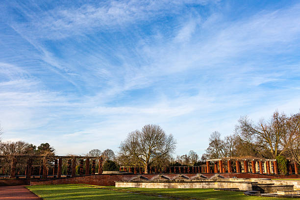 istock Grass field, trees and interesting sky in park in winter 2211563424