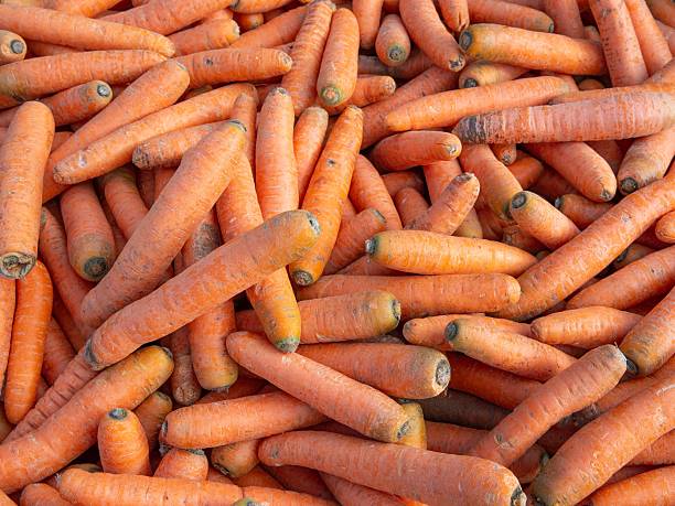Transport of carrots in crates from the farm.