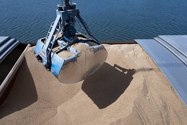 istock Unloading an inland barge filled with soja by crane. 2211568271